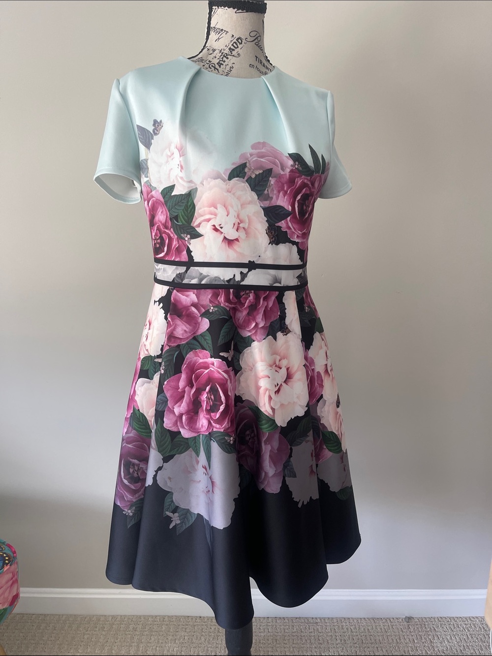 Ted Baker London Aqua Bodice Floral Midi Dress with Pink Roses
